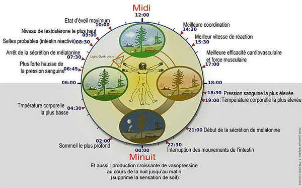 gn horloge interne