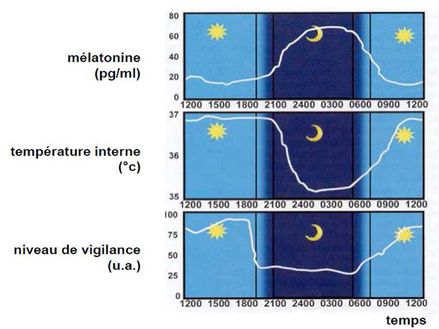 gn melatonine vigilance 2